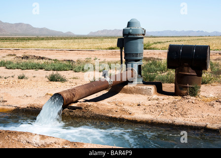 L'acqua che scorre in un canale di irrigazione in Arizona Foto Stock