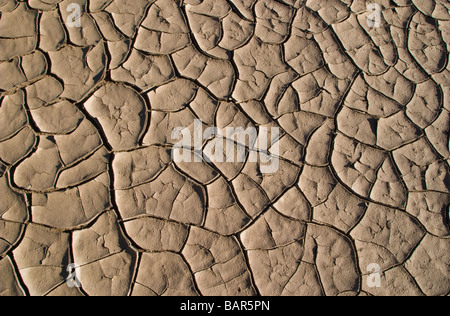 Essiccato incrinato pattern di fango lasciato alle spalle da receding del Fiume Rio Grande parco nazionale di Big Bend Texas USA Foto Stock