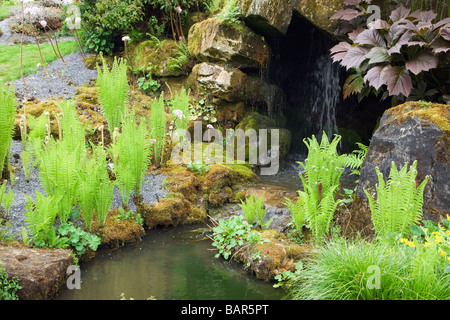 Felci da acqua caratteristica, Wisley giardino, Surrey, Regno Unito Foto Stock