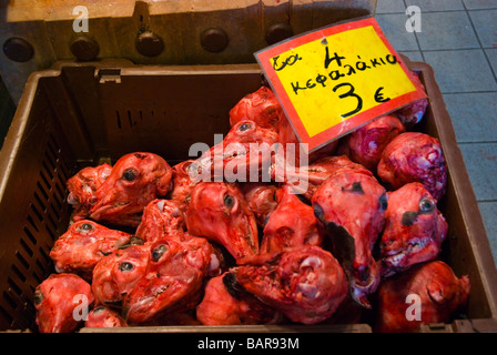 Teste di capre al mercato della carne off Athinas Street Atene Grecia Europa Foto Stock