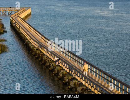 Il Port Royal Boardwalk e torre di osservazione si estende oltre le rive del fiume Beaufort e batteria Creek per via navigabile Foto Stock