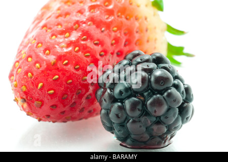 Bacche succose Foto Stock