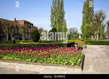 Letti di fiori nel centro di Welwyn Garden City Foto Stock