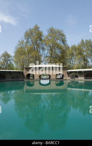 Sorgente di un fiume, il fiume Jhelum, Jammu e Kashmir India Foto Stock