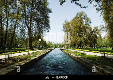 Fiume passando attraverso un giardino, fiume Jhelum, Jammu e Kashmir India Foto Stock