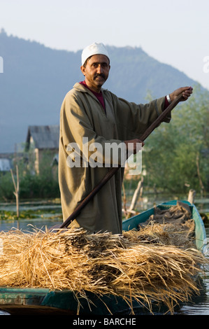 L'uomo vendita di foraggi in una barca, dal lago, Srinagar, Jammu e Kashmir India Foto Stock