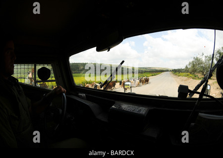 Israele Cisgiordania israeliani soldati di riserva di pattuglia durante il servizio attivo interno della jeep corazzate Foto Stock