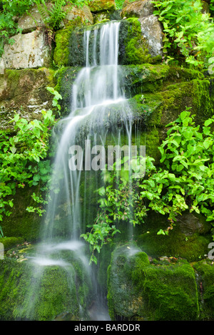Cascata d'acqua caduta su lussureggianti moss entro i motivi di Ness Giardini Botanici, Ness, Cheshire, Regno Unito Foto Stock