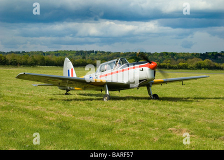 Un De Havilland Scoiattolo striado su una pista in erba Foto Stock