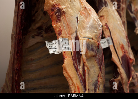 Macello Facility esportazione di carne del Mato Grosso membro Amazon Brasile bestiame etichetta di tracciabilità Foto Stock