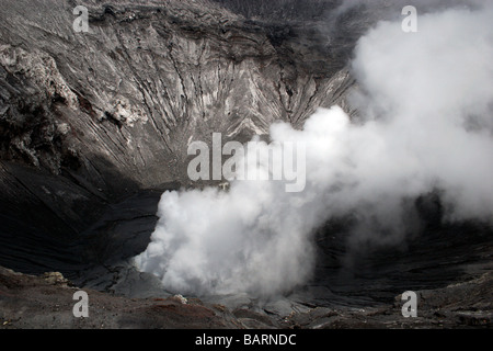 Vulcano Bromo cratere sulla isola di Giava, in Indonesia Foto Stock