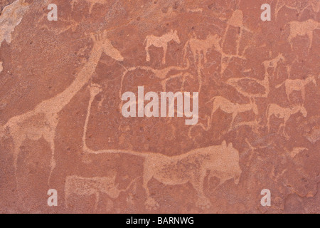 Dettaglio su arenaria 'Lion Plate' con sculture in pietra di Giraffe, Zebre e Leone, Twyfelfontein, Namibia, Africa Foto Stock