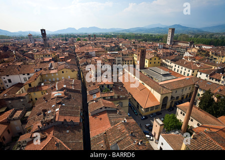 La panoramica di Lucca città medievale (Toscana - Italia). Vue d'ensemble de la ville médiévale de Lucques (Toscane - Italie). Foto Stock