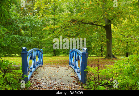 Blue bridge su un percorso attraverso il bosco in autunno Foto Stock