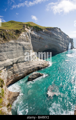 Cape addio Isola del Sud della Nuova Zelanda Foto Stock