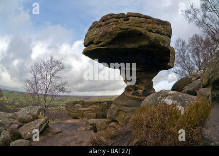 La graniglia di macina a Brimham rocks Foto Stock