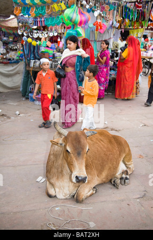Vacca e gli acquirenti nel mercato Sardar, Jodhpur, Rajasthan, India Foto Stock