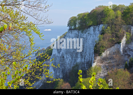 Chalk cliff, Jasmund National Park, Ruegen Isola, Mecklenburg Western-Pomerania, Germania settentrionale Foto Stock