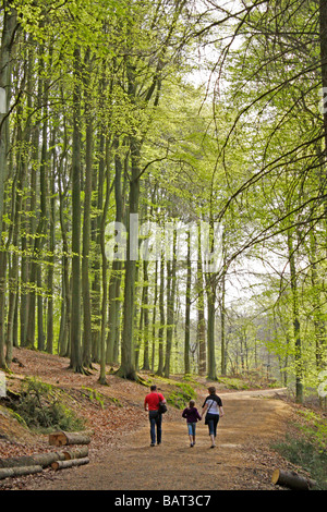 Famiglia su una foresta escursione a Jasmund National Park, Ruegen Isola, Mecklenburg Western-Pomerania, Germania settentrionale Foto Stock