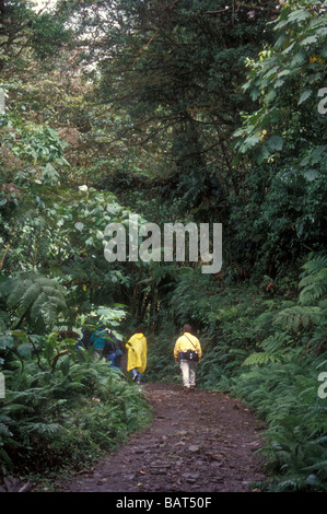 Gli escursionisti in Monteverde Cloud Forest Riserve, Costa Rica Foto Stock