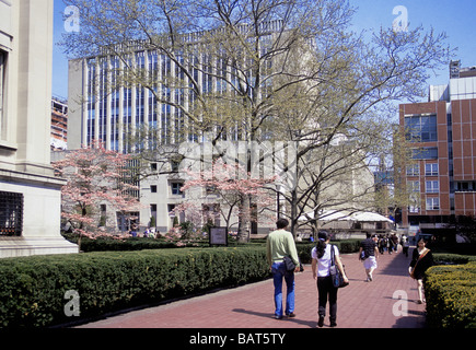 Campus della Columbia University Ivy League a New York City. Studenti che vanno a lezione a piedi sulla East Walk. URIS Hall e fiori primaverili sugli alberi. USA Foto Stock