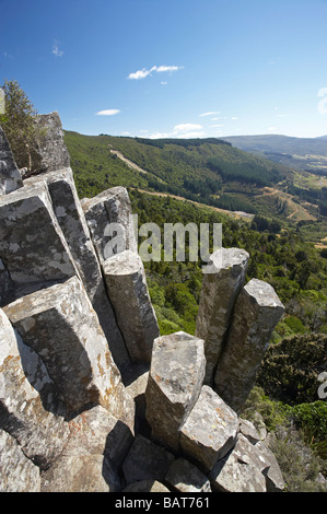 L'organo a canne basalto vulcanico colonne di roccia Mt Cargill Dunedin Otago Isola del Sud della Nuova Zelanda Foto Stock