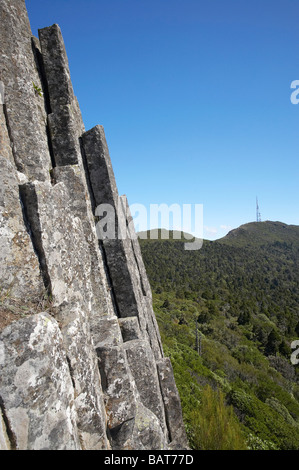 L'organo a canne basalto vulcanico colonne di roccia Mt Cargill Dunedin Otago Isola del Sud della Nuova Zelanda Foto Stock