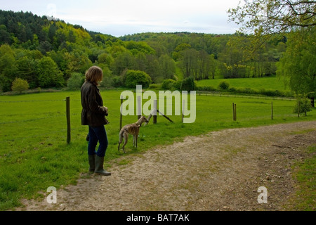 Donna prendendo il suo pet whippet cane per un tempo di primavera a piedi nella campagna di Kent vicino a Westerham Foto Stock