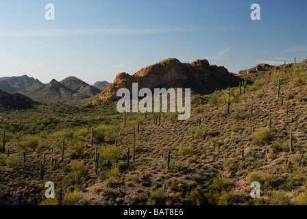 La superstizione Montagne in Arizona meridionale vicino a Phoenix Foto Stock