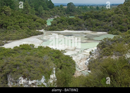 Wai-O-Tapu Thermal Wonderland vicino a Rotorua, Nuova Zelanda Foto Stock