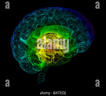 Cervello umano, concettuale computer grafica. La parte anteriore del cervello è a destra. Foto Stock