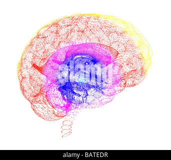 Cervello umano, concettuale computer grafica. La parte anteriore del cervello è a destra. Foto Stock