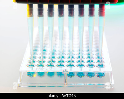 La ricerca genetica. Foto Stock