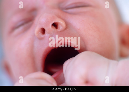 Il pianto baby boy. Faccia di un pianto 2 mese-vecchio baby boy. Foto Stock