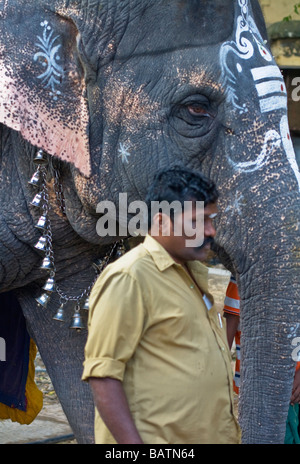 Un decorato elefante indù al meenakshi Sundareswarar Amman Tempio di Madurai, Tamil Nadu, India Foto Stock