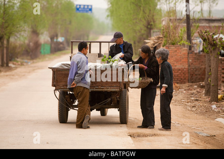 Changchun provincia di Jilin Cina un vegitable e commerciante di frutta la vendita dal retro del suo tre ruote Foto Stock