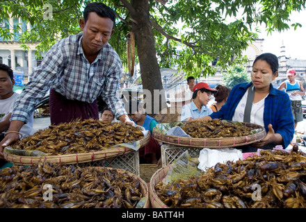 Grilli di venditori. Yangon. Myanmar Foto Stock