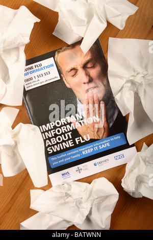 Influenza suina H1N1 informazioni prenota foglietto opuscolo pubblicato da parte del Regno Unito nel governo britannico e NHS health service con i tessuti Foto Stock