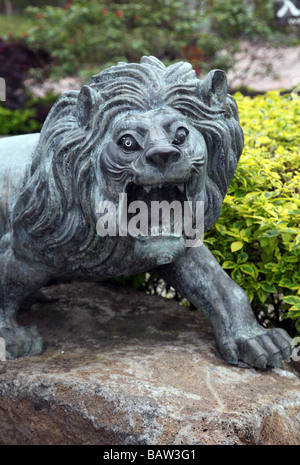 Asia statua leone cinesi in bronzo di acciaio o ferro piombo sulle rocce pietra è ruggente ma guardare divertente bizzarro e ogles abbastanza pazzo bush Foto Stock