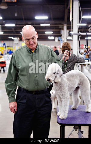 Uomo con Bedlington Terrier a Louisville Kennel Club Dog Show in Louisville Kentucky Foto Stock