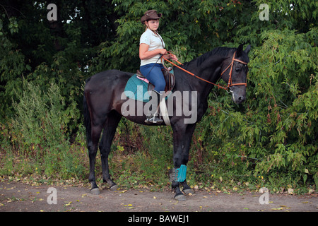 Ritratto di orgoglioso giovane pilota sul suo cavallo Foto Stock