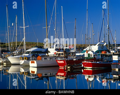 Ampio Marina, camminate, Northumberland Foto Stock