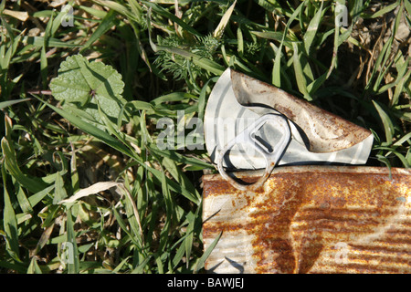 Un vecchio arrugginito stagno di cibo in erba lunga nel campo Foto Stock