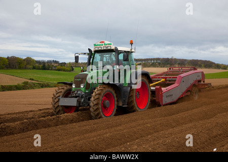 Preparare i campi di patate con FENDT 818 Vario TMS Trattore con De-stoner,'industria scozzese, Scotland, Regno Unito Foto Stock