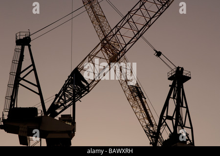 Gru a torre stagliano in sunset Foto Stock