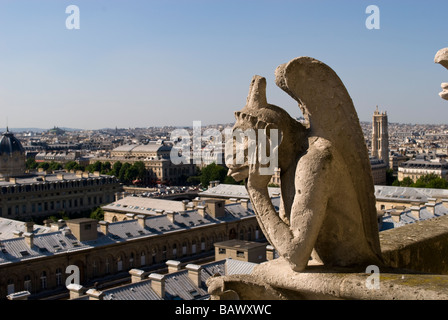 Gargoyle sulla cattedrale di Notre Dame Parigi Foto Stock