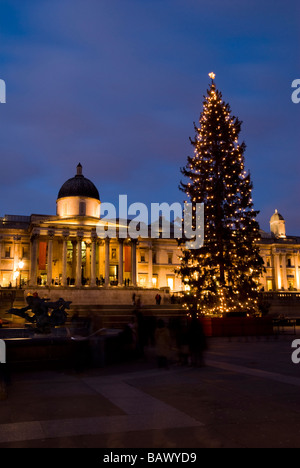 Albero di Natale in Trafalgar Square Foto Stock