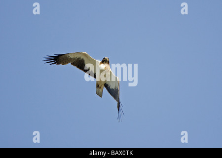 Avviato Eagle fase leggera in volo su Gibilterra Foto Stock