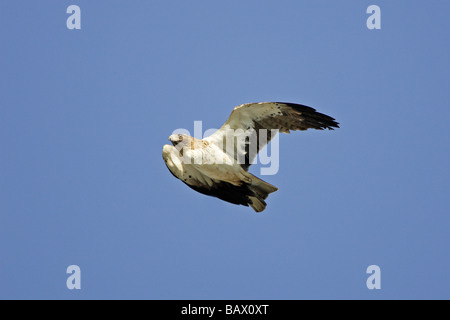 Avviato Eagle fase leggera in volo su Gibilterra Foto Stock