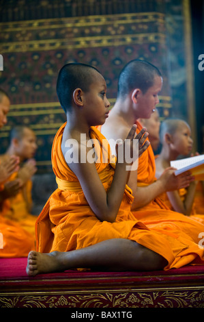 Ritratto di un giovane monaco a pomeriggio preghiera in Phra Ubosot Hall. Wat Pho, Bangkok, Thailandia Foto Stock